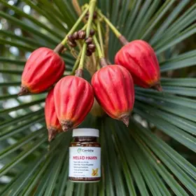 Anvisa determina apreensão de marcas de palmito em conserva e melatonina